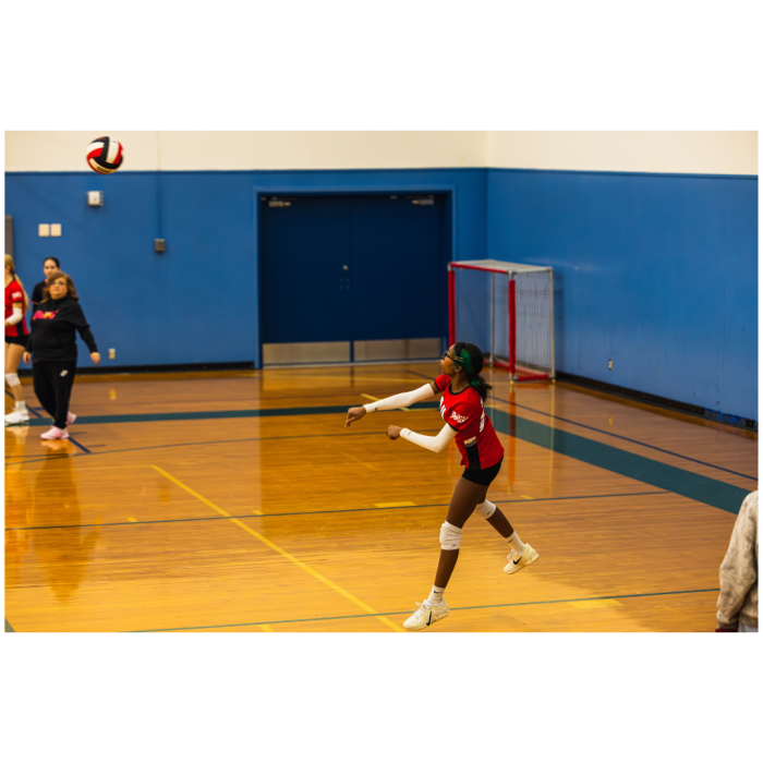 4 (1) (1) (1) (1) (1) (1) (1) (1) (1) (1) (1) (1) (1) (1) (1) (1) (1) (1) (1) (1) (1) (1) (1) (1) (1) (1) (1) (1) (1) (1) (1) (1) (1) (1) (1) (1) (1) (1) (1) (1) (1) (1) (1) (1) (1)