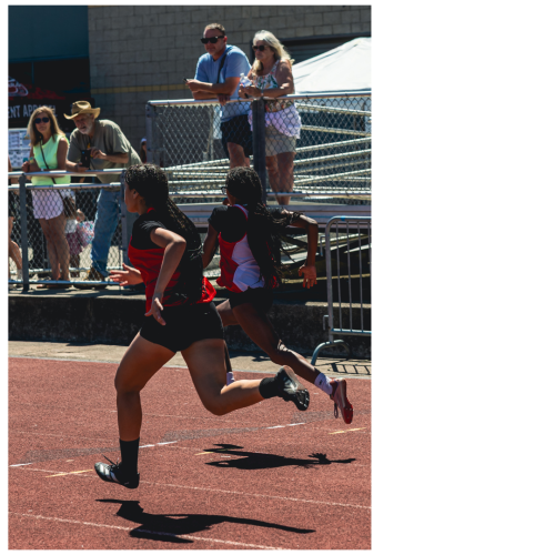 5 (1) (1) (1) (1) (1) (1) (1) (1) (1)