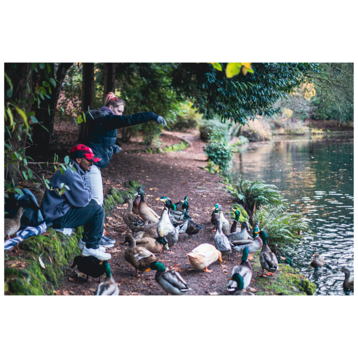 5 (1) (1) (1) (1) (1) (1) (1) (1) (1) (1) (1) (1) (1) (1) (1) (1) (1) (1) (1) (1) (1) (1) (1) (1) (1) (1) (1) (1) (1) (1) (1)