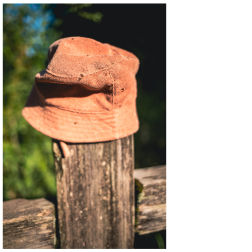 6 (1) (1) (1) (1) (1) (1) (1) (1) (1) (1) (1) (1) (1) (1) (1) (1) (1)