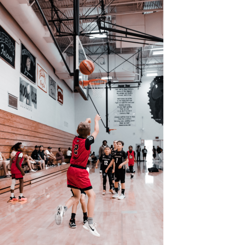 6 (1) (1) (1) (1) (1) (1) (1) (1) (1) (1) (1) (1) (1) (1) (1) (1) (1) (1)