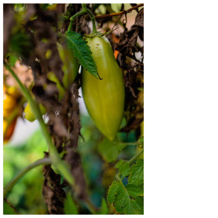 6 (1) (1) (1) (1) (1) (1) (1) (1) (1) (1) (1) (1) (1) (1) (1) (1) (1) (1) (1) (1) (1) (1) (1) (1) (1) (1) (1) (1) (1) (1)