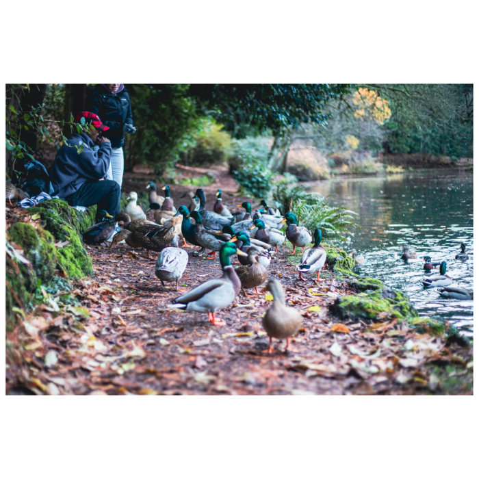 6 (1) (1) (1) (1) (1) (1) (1) (1) (1) (1) (1) (1) (1) (1) (1) (1) (1) (1) (1) (1) (1) (1) (1) (1) (1) (1) (1) (1) (1) (1) (1) (1)