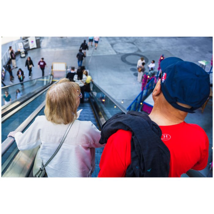 6 (1) (1) (1) (1) (1) (1) (1) (1) (1) (1) (1) (1) (1) (1) (1) (1) (1) (1) (1) (1) (1) (1) (1) (1) (1) (1) (1) (1) (1) (1) (1) (1) (1) (1) (1) (1) (1) (1) (1) (1) (1) (1) (1) (1) (1)