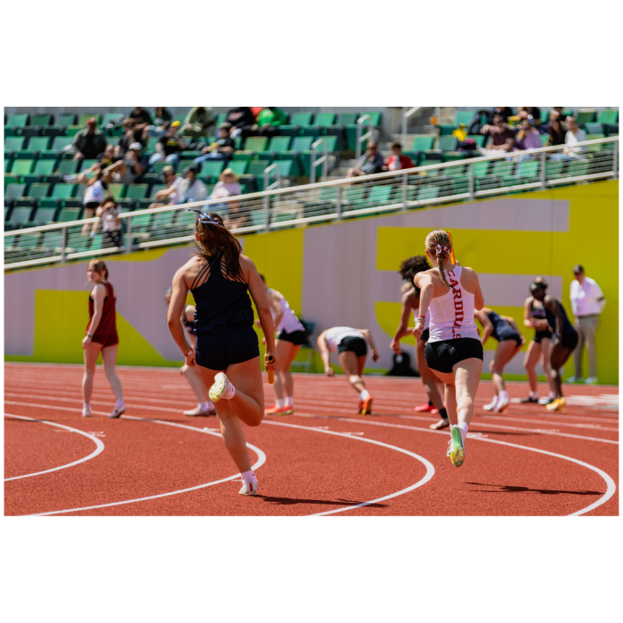 6 (1) (1) (1) (1) (1) (1) (1) (1) (1) (1) (1) (1) (1) (1) (1) (1) (1) (1) (1) (1) (1) (1) (1) (1) (1) (1) (1) (1) (1) (1) (1) (1) (1) (1) (1) (1) (1) (1) (1) (1) (1) (1) (1) (1) (1) (1) (1) (1)