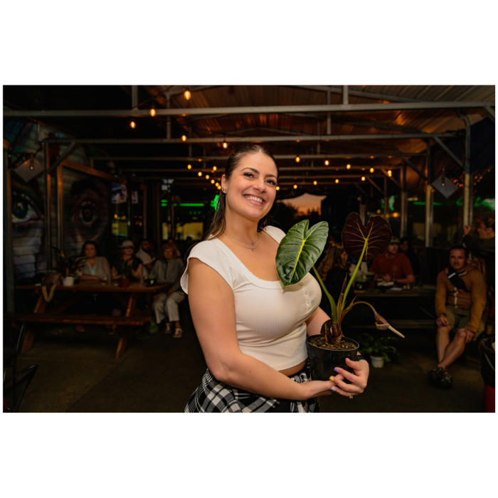 6 (1) (1) (1) (1) (1) (1) (1) (1) (1) (1) (1) (1) (1) (1) (1) (1) (1) (1) (1) (1) (1) (1) (1) (1) (1) (1) (1) (1) (1) (1) (1) (1) (1) (1) (1) (1) (1) (1) (1) (1) (1) (1) (1) (1) (1) (1) (1) (1) (1) (1)