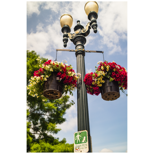 7 (1) (1) (1) (1) (1) (1) (1) (1)