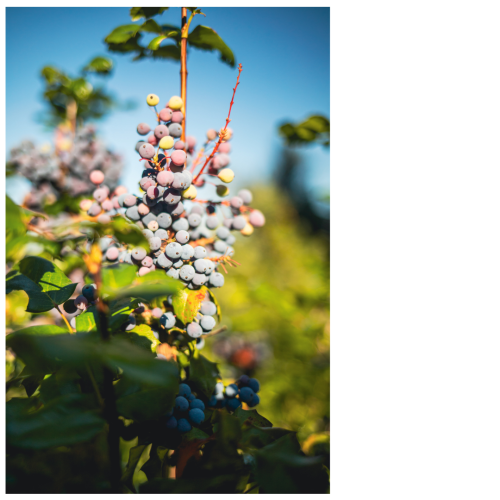 7 (1) (1) (1) (1) (1) (1) (1) (1) (1) (1) (1) (1) (1) (1)