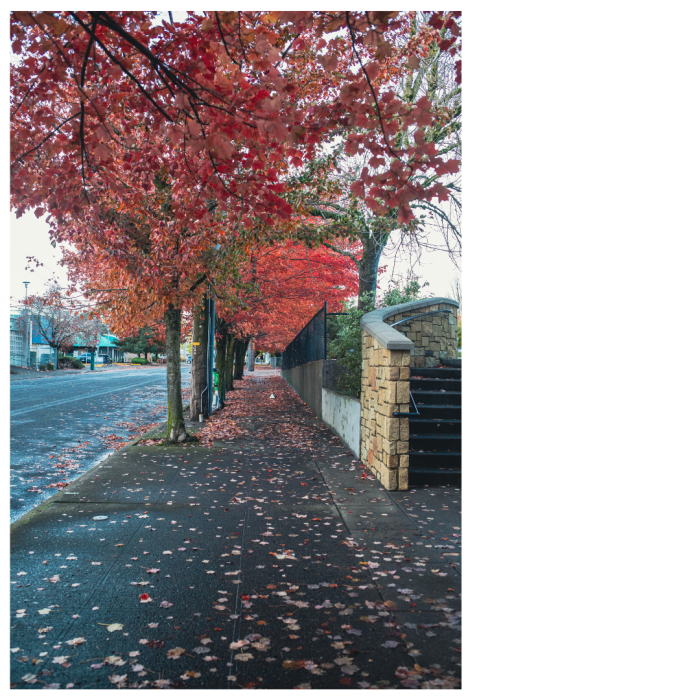 7 (1) (1) (1) (1) (1) (1) (1) (1) (1) (1) (1) (1) (1) (1) (1) (1) (1) (1) (1) (1) (1) (1) (1) (1) (1) (1) (1)