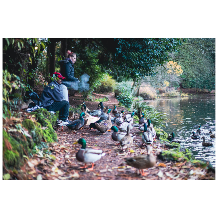 7 (1) (1) (1) (1) (1) (1) (1) (1) (1) (1) (1) (1) (1) (1) (1) (1) (1) (1) (1) (1) (1) (1) (1) (1) (1) (1) (1) (1) (1)