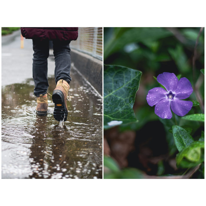 7 (1) (1) (1) (1) (1) (1) (1) (1) (1) (1) (1) (1) (1) (1) (1) (1) (1) (1) (1) (1) (1) (1) (1) (1) (1) (1) (1) (1) (1) (1) (1) (1) (1) (1) (1) (1) (1) (1) (1) (1) (1) (1) (1) (1) (1) (1) (1) (1) (1)