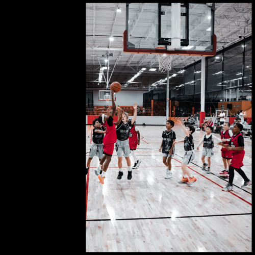 8 (1) (1) (1) (1) (1) (1) (1) (1) (1) (1) (1) (1)