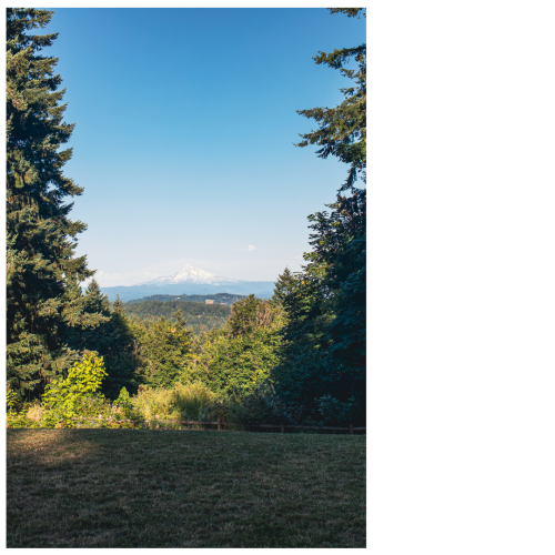 8 (1) (1) (1) (1) (1) (1) (1) (1) (1) (1) (1) (1) (1) (1)