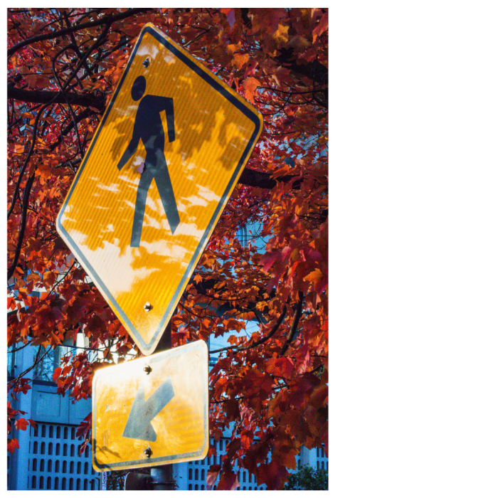 8 (1) (1) (1) (1) (1) (1) (1) (1) (1) (1) (1) (1) (1) (1) (1) (1) (1) (1) (1) (1) (1) (1) (1) (1) (1) (1) (1)