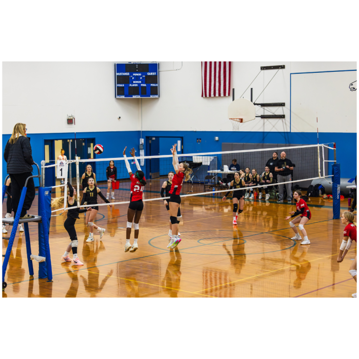 8 (1) (1) (1) (1) (1) (1) (1) (1) (1) (1) (1) (1) (1) (1) (1) (1) (1) (1) (1) (1) (1) (1) (1) (1) (1) (1) (1) (1) (1) (1) (1) (1) (1) (1) (1) (1) (1)