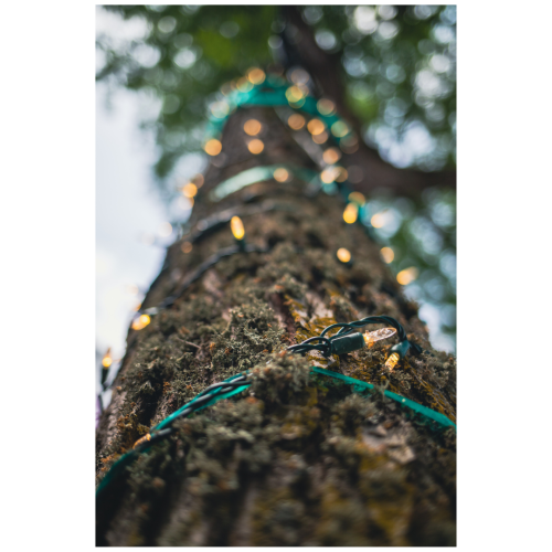 9 (1) (1) (1) (1) (1) (1) (1) (1)