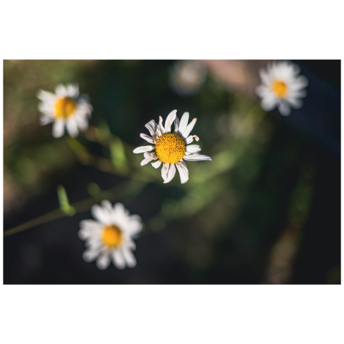 9 (1) (1) (1) (1) (1) (1) (1) (1) (1) (1) (1) (1) (1) (1)