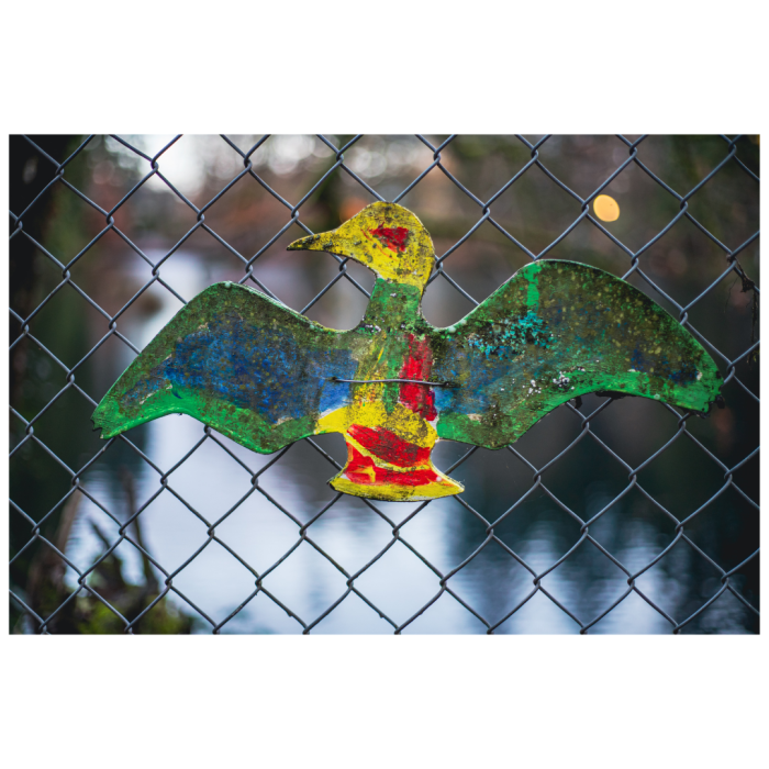 9 (1) (1) (1) (1) (1) (1) (1) (1) (1) (1) (1) (1) (1) (1) (1) (1) (1) (1) (1) (1) (1) (1) (1) (1) (1) (1) (1) (1) (1)